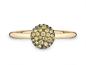 Preview: Quinn Damenring 750 Gelbgold Granat 72110566303