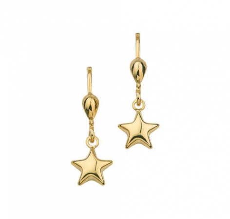 Ohrschmuck Ohrboutons Sternchen 333 Gold BOH300349